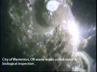 City of Warrenton, OR waste water outfall video & biological inspection 