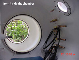 From inside the Chamber it is cozy!